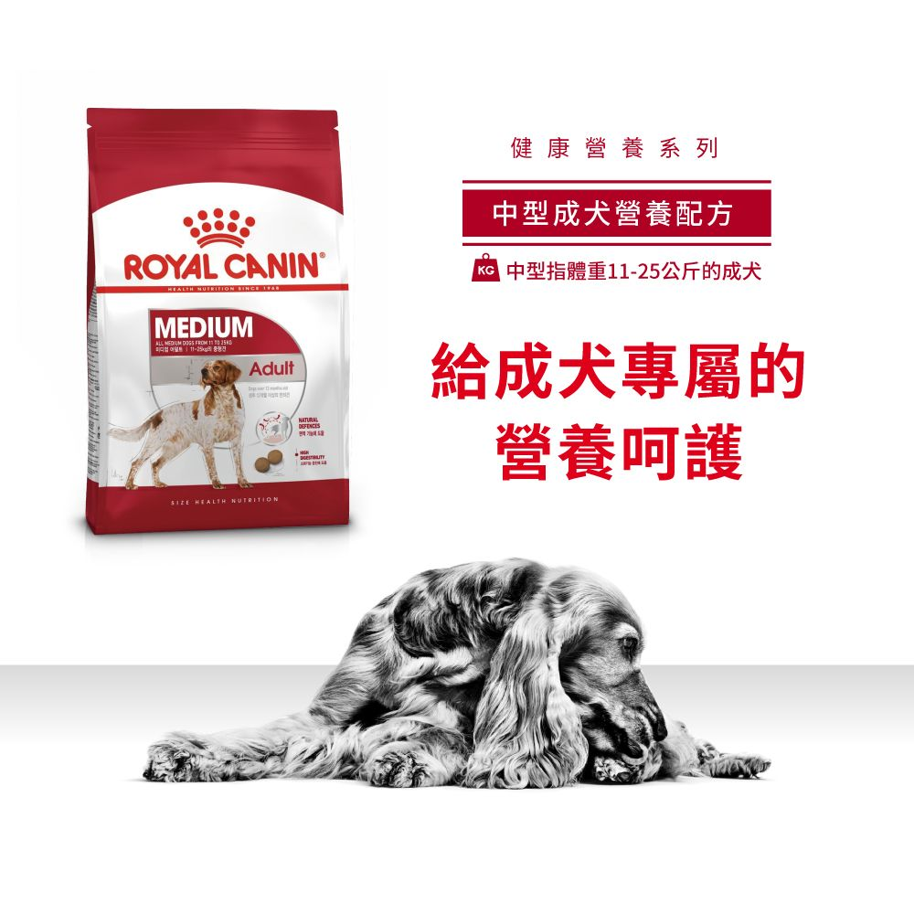 SHN 中型成犬營養配方