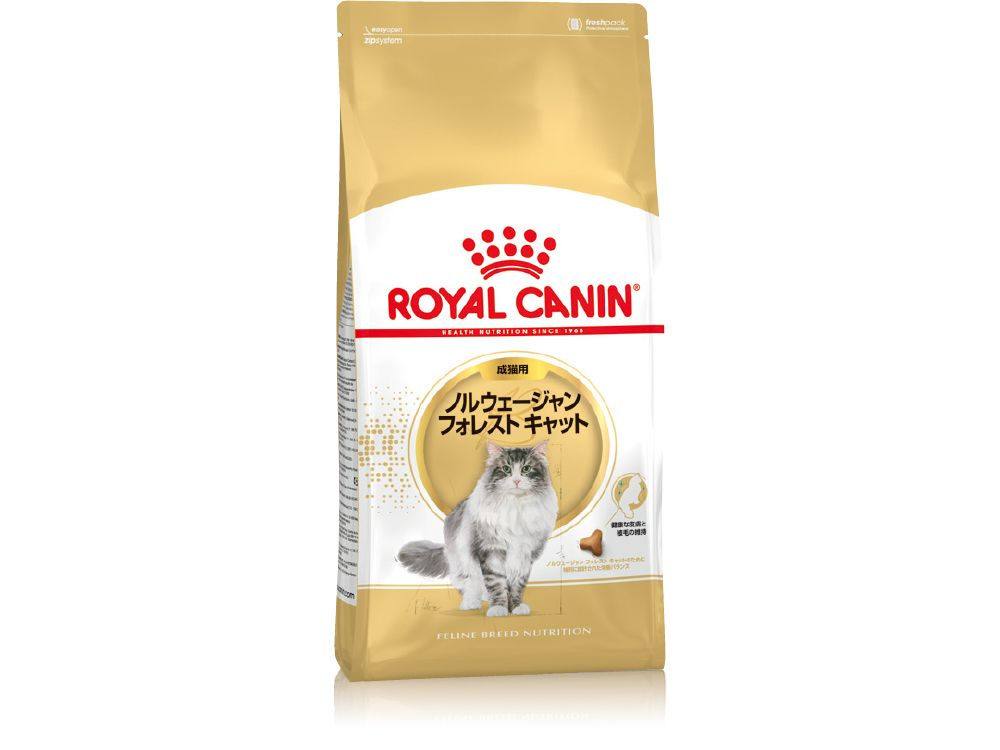 ノルウェージャン フォレスト キャット 成猫用 | Royal Canin JP