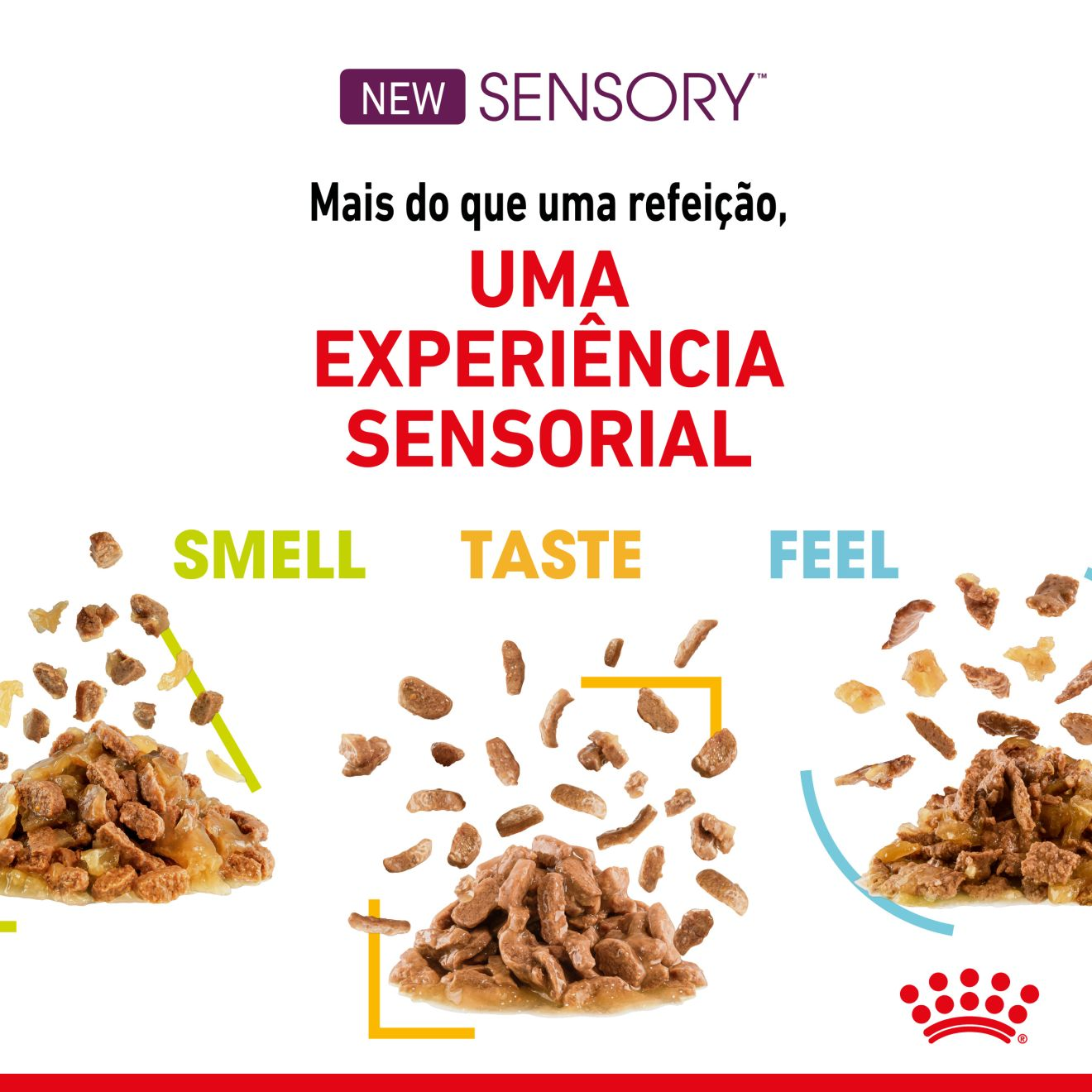 Sensory™ Taste pedaços com molho