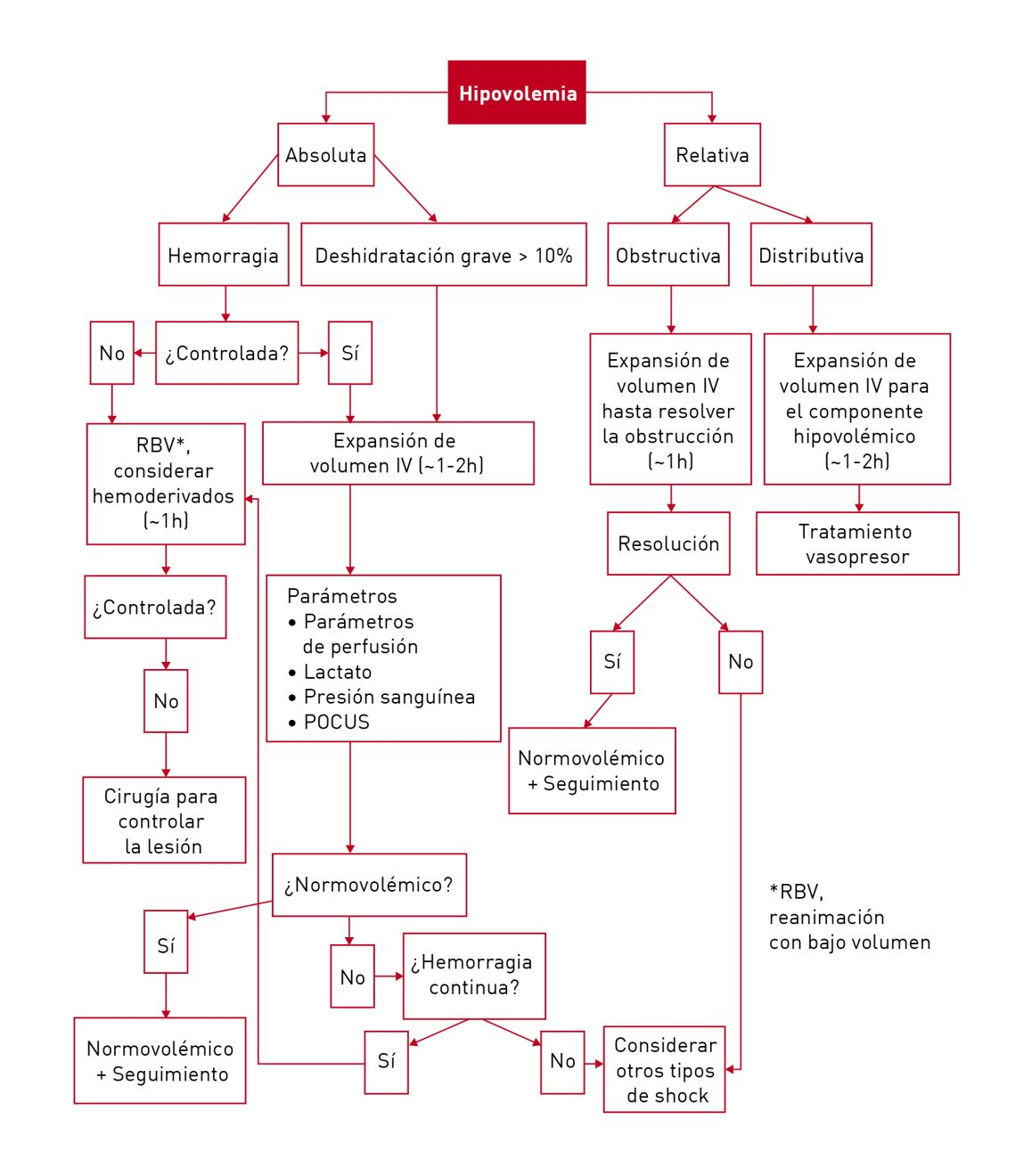 Diagrama de flujo detallado útil para la toma de decisiones sobre fluidoterapia en gatos con hipovolemia