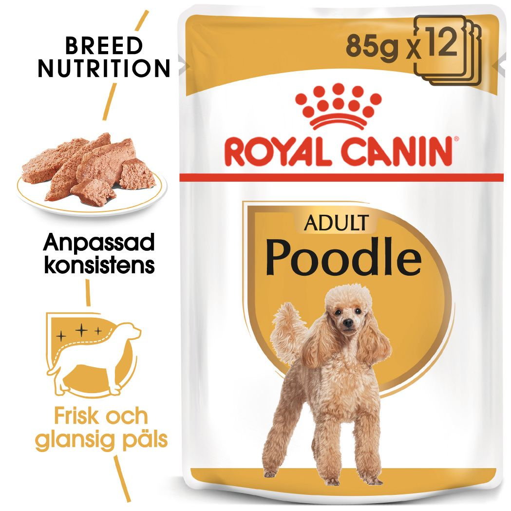 Poodle Adult Loaf