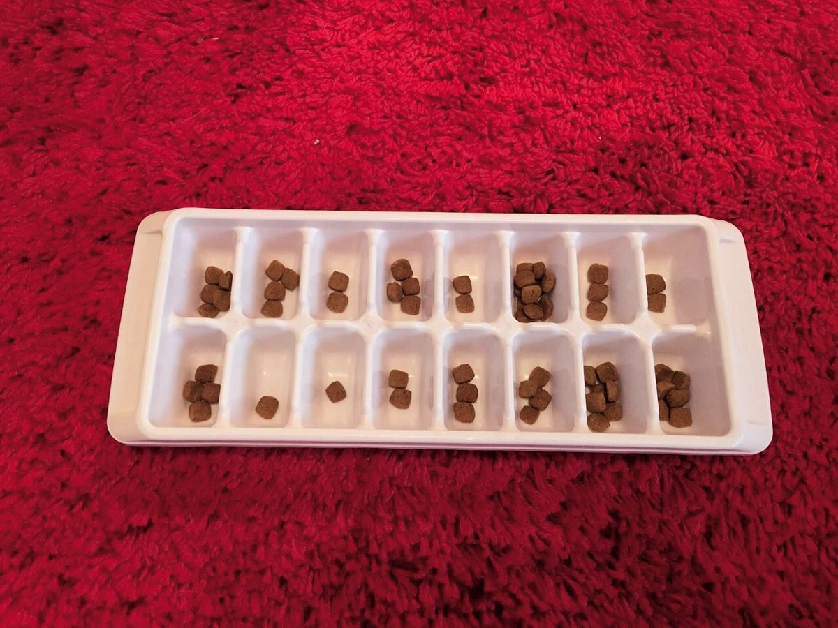 An ice-cube tray can be used as a very simple “stationary” puzzle for beginners.