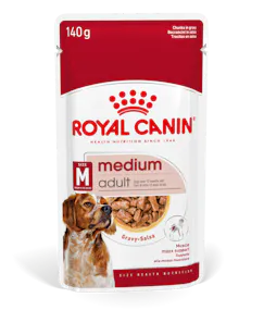 Medium Adult en sauce
