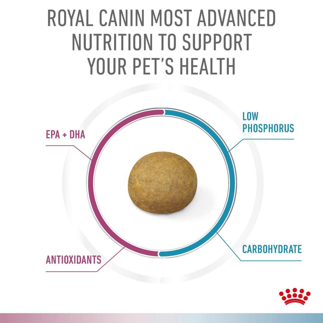 RENAL + HYPOALLERGENIC SMALL DOGS