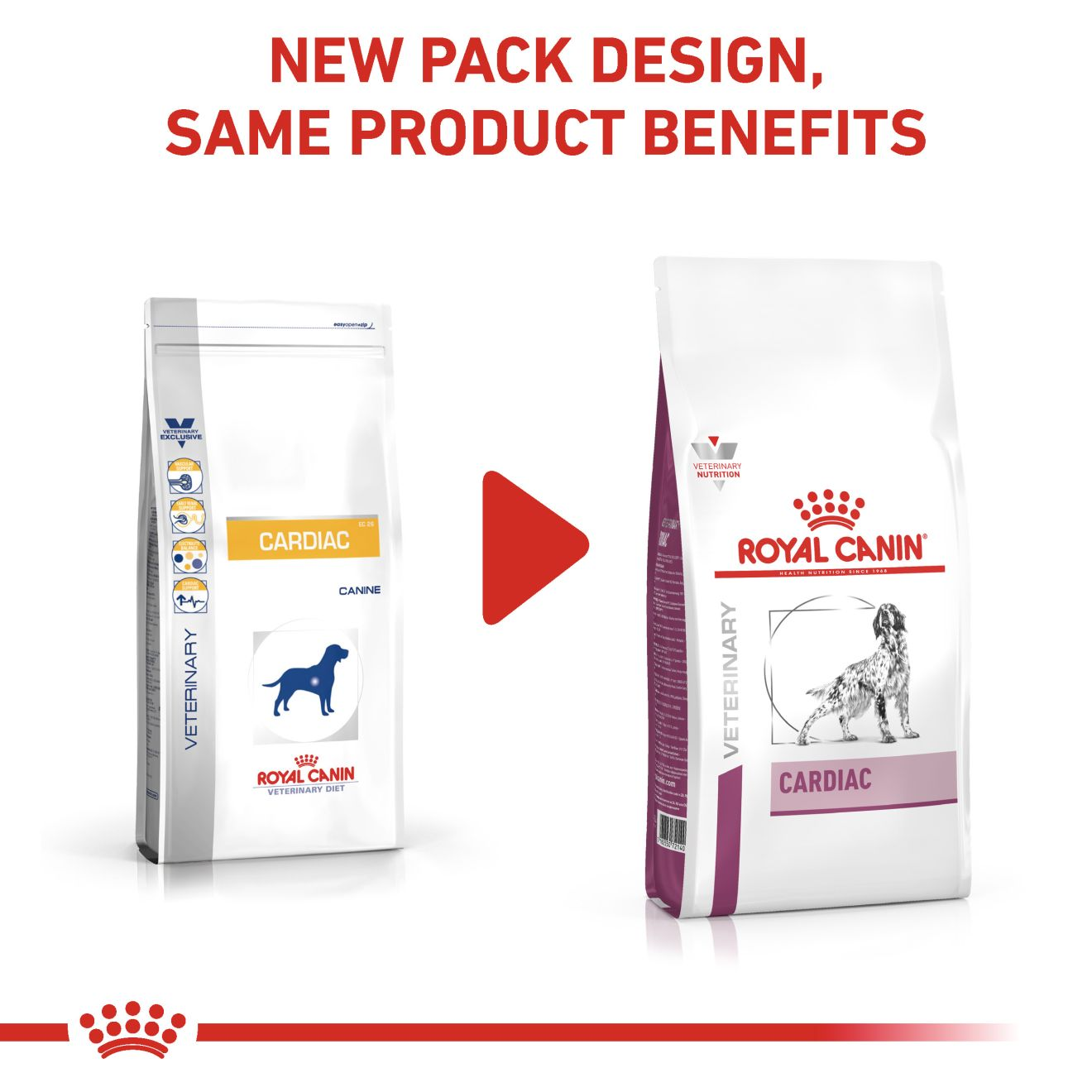 Cardiac Royal Canin IN