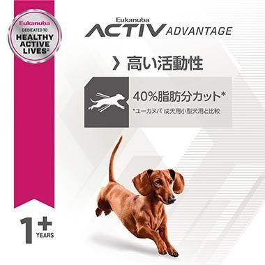 スモール フィット ボディ | Eukanuba