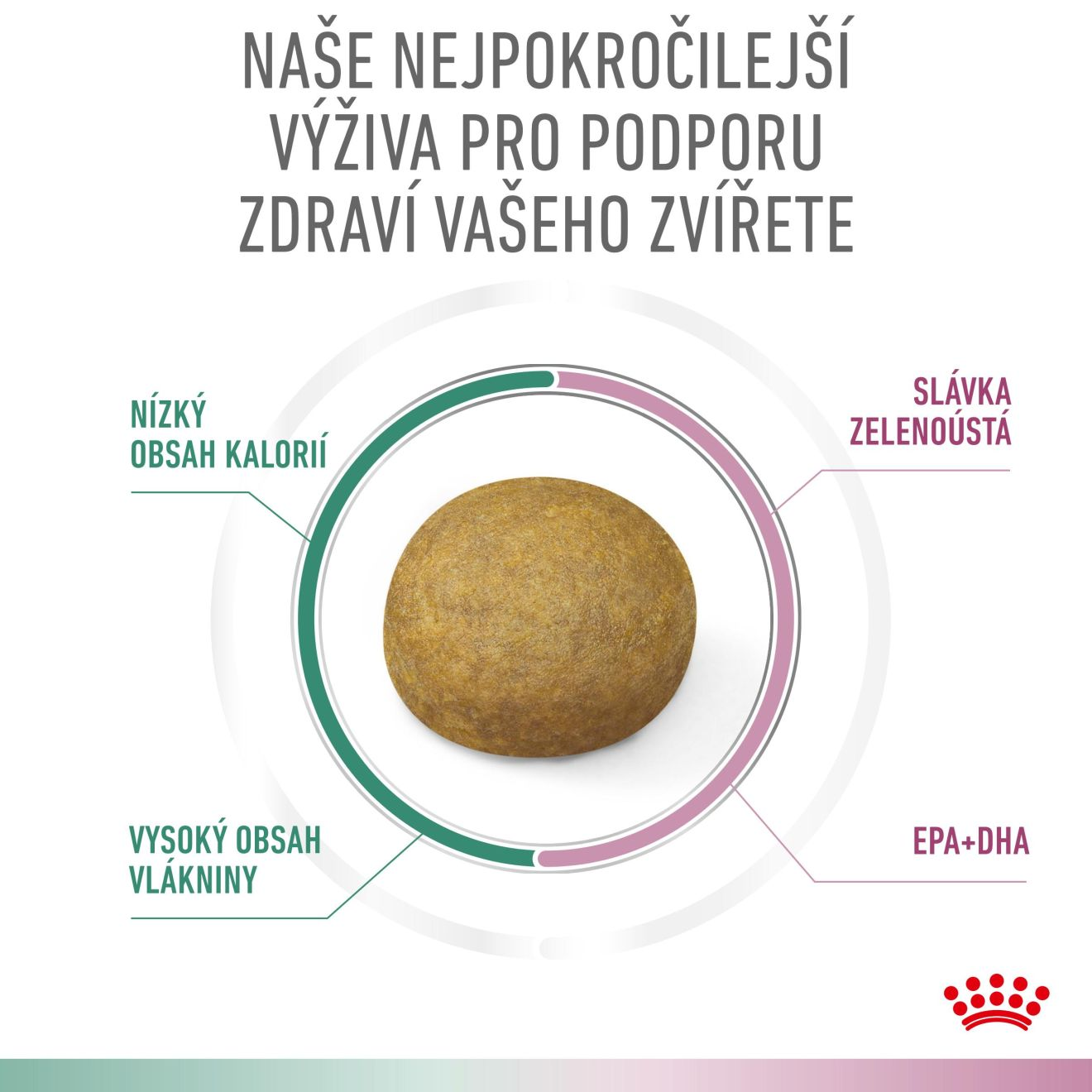 VHN Dog CA Satiety - Mobility