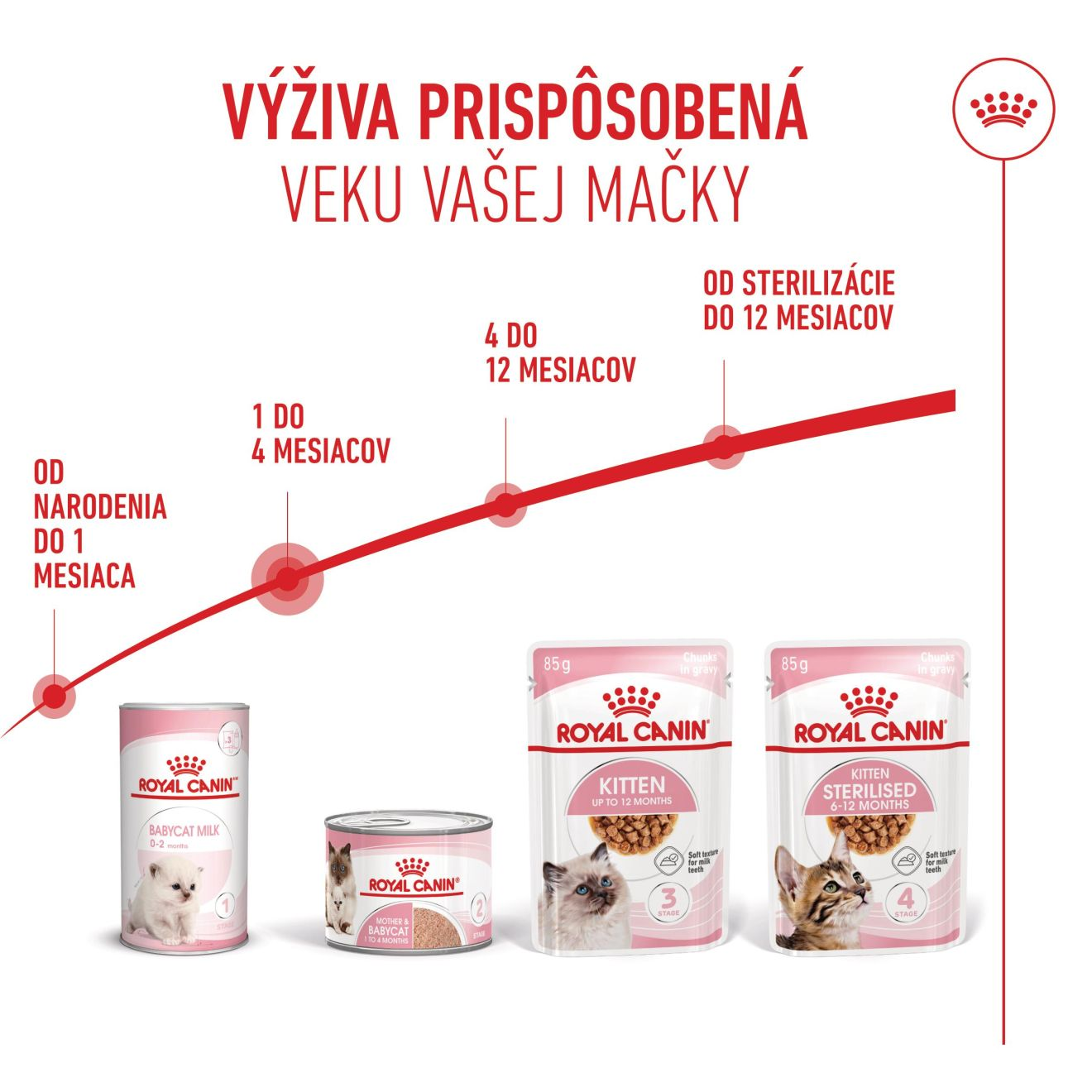 MOTHER & BABYCAT Ultra soft mousse