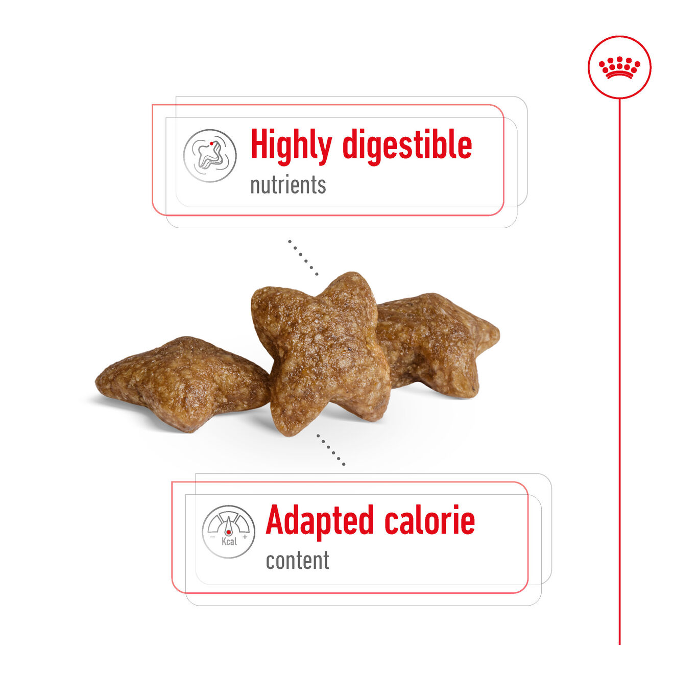 MINI ADULT | Royal Canin DE