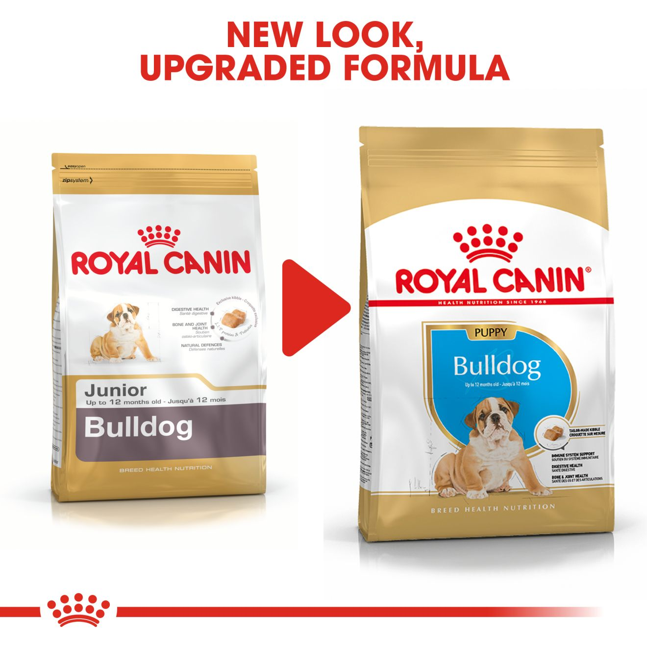 royal canin bulldog 24