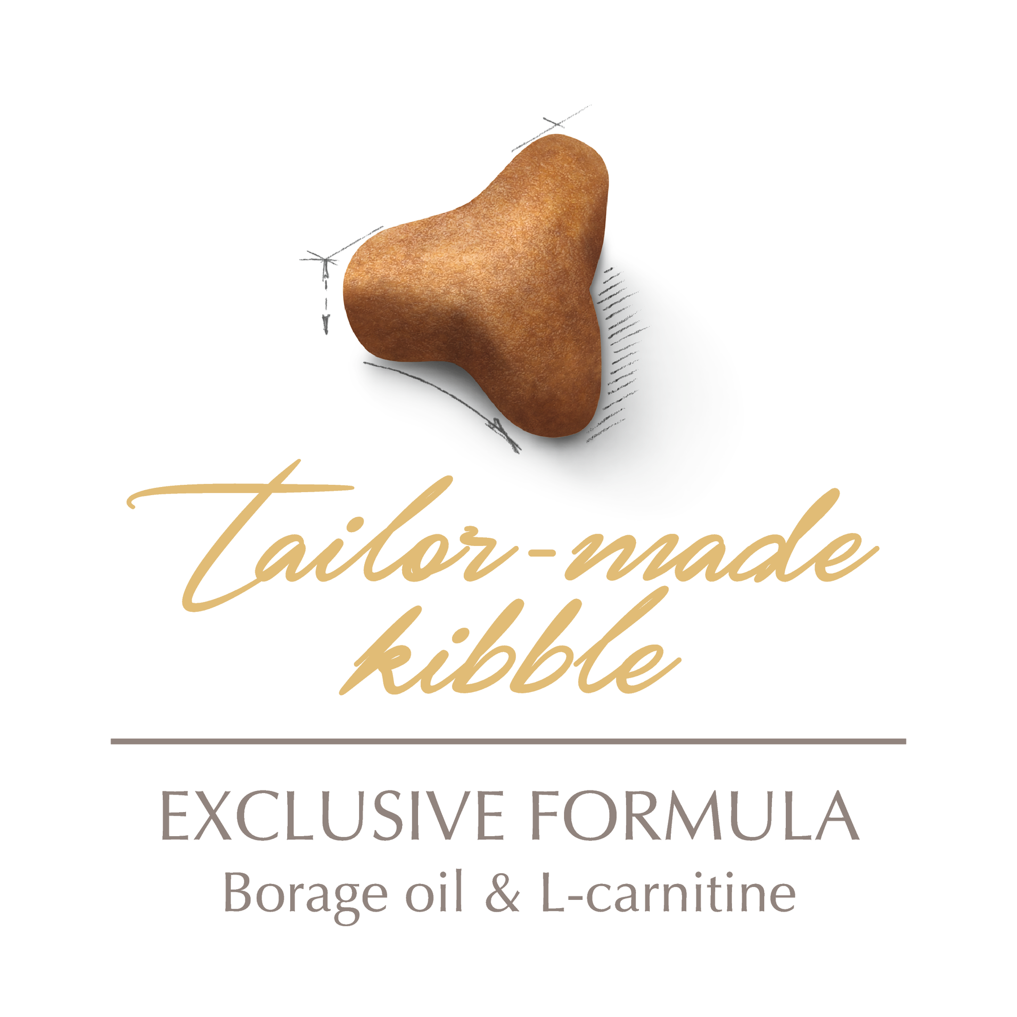 royal canin norwegian forest cat food