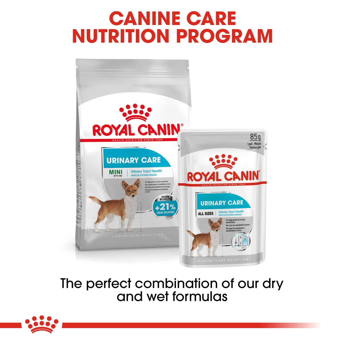 Royal canin urinary care best sale high dilution