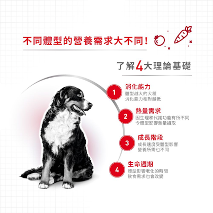 MA_中型成犬營養配方_正方形_HK_02