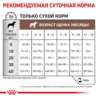 RC-VET-DRY-DogGastroPU-Eretailkit-B1_6-UA