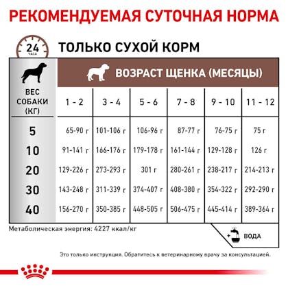 RC-VET-DRY-DogGastroPU-Eretailkit-B1_6-RU