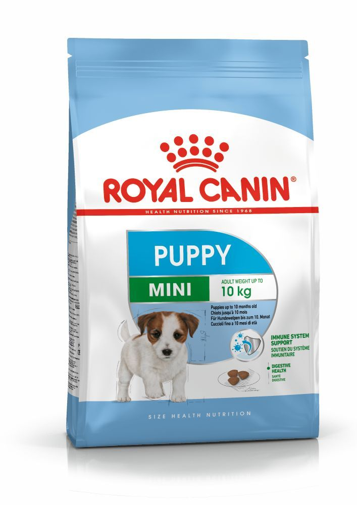 Paquet pour chiot de petite taille