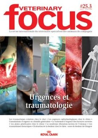 Urgences et traumatologie