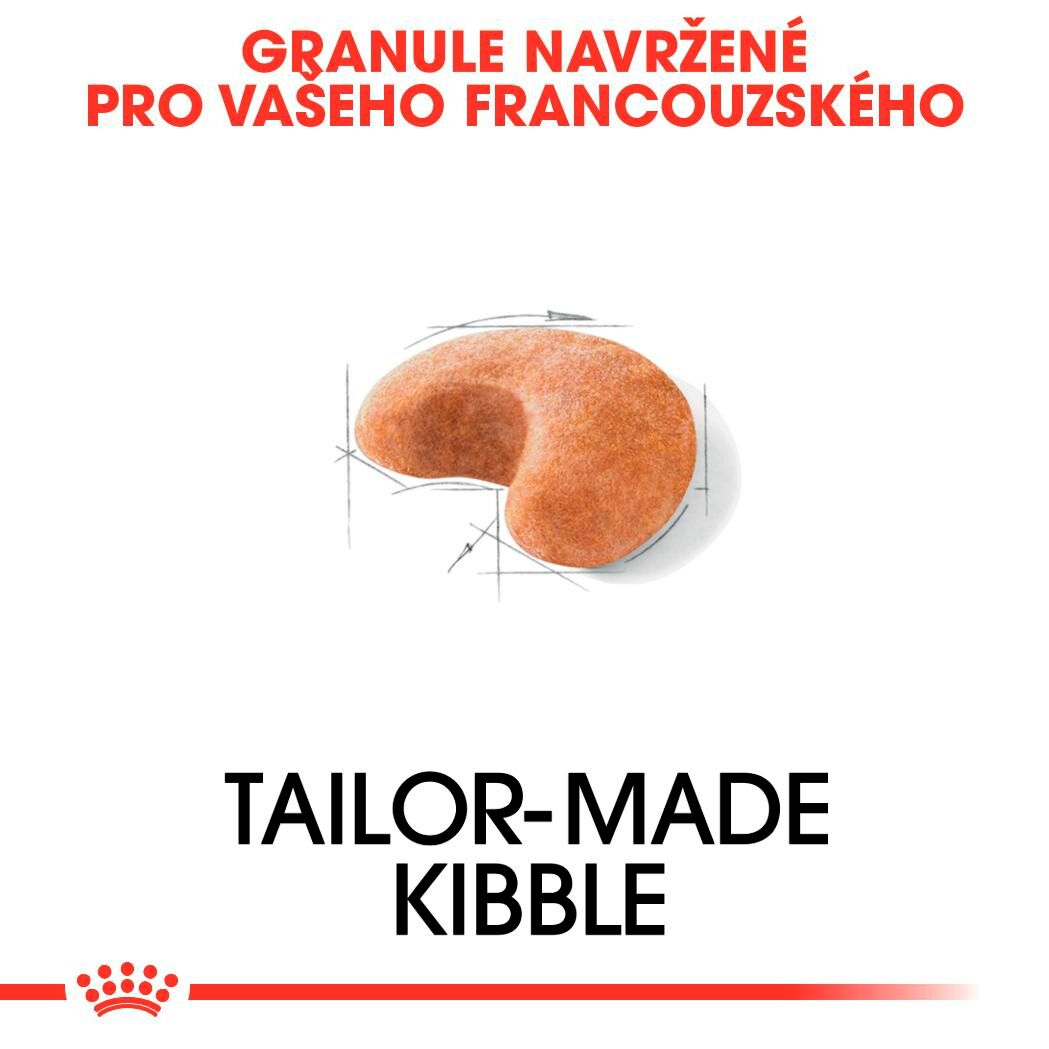 FRENCH BULLDOG Adult