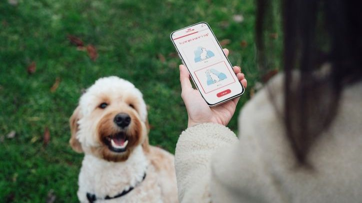 Une femme consulte le guide nutritionnel Royal Canin sur son téléphone pendant qu'elle promène son chien