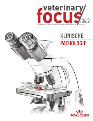 Klinische Pathologie