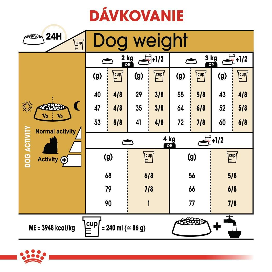 Yorkshire Terrier Adult