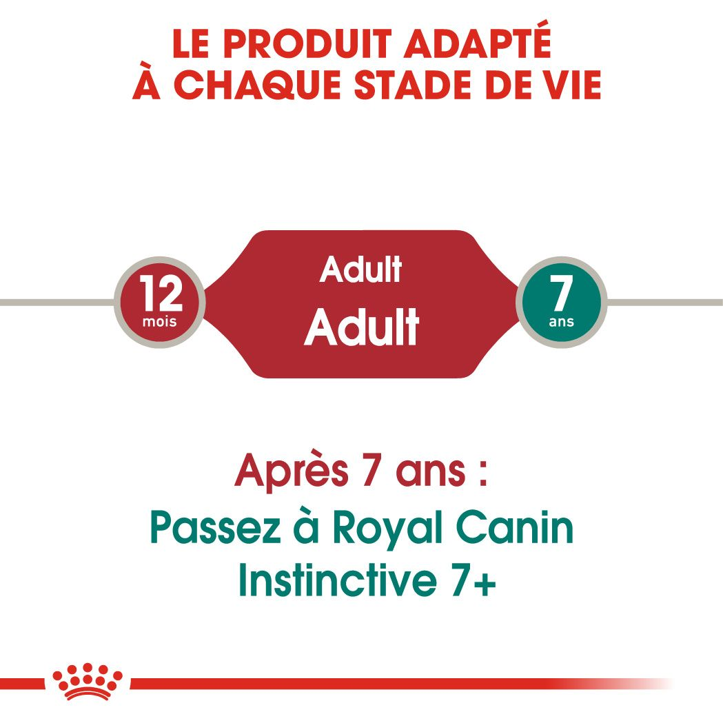 Instinctive Jelly (émincés en gelée)