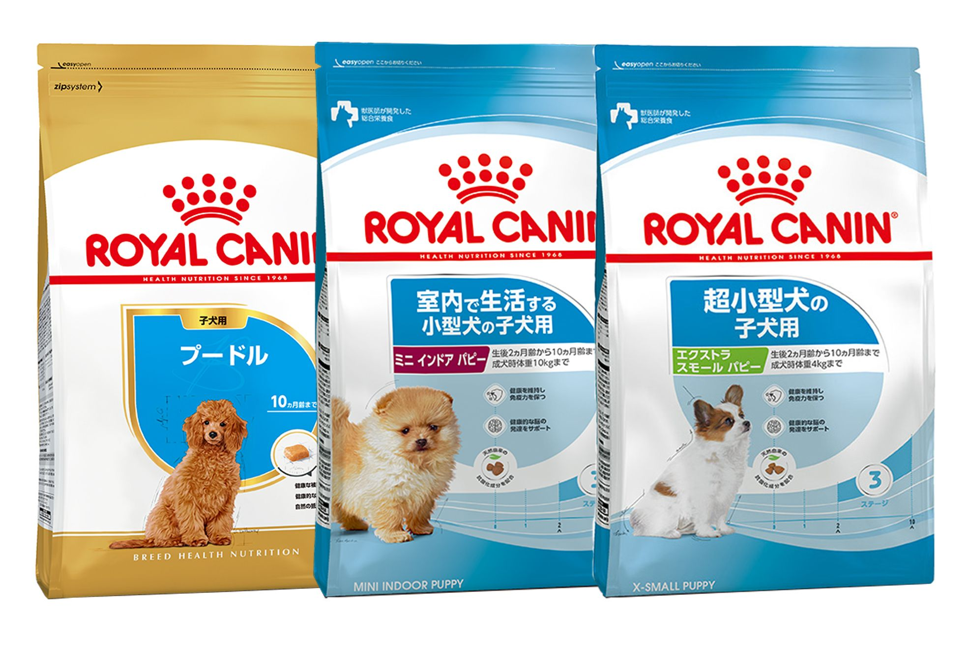 ロイヤルカナン公式ブランドサイト - ROYAL CANIN | Royal Canin JP