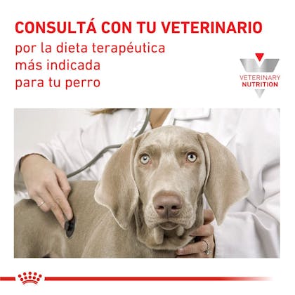 AR_L_HEPATIC_CANINE_SECO_VHN_08