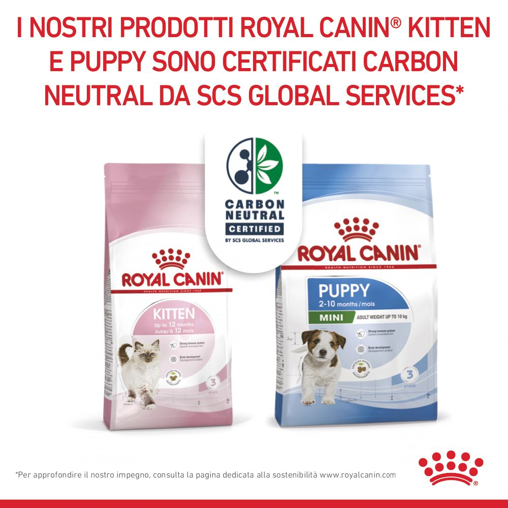 Royal Canin Mini Junior Razze Piccole