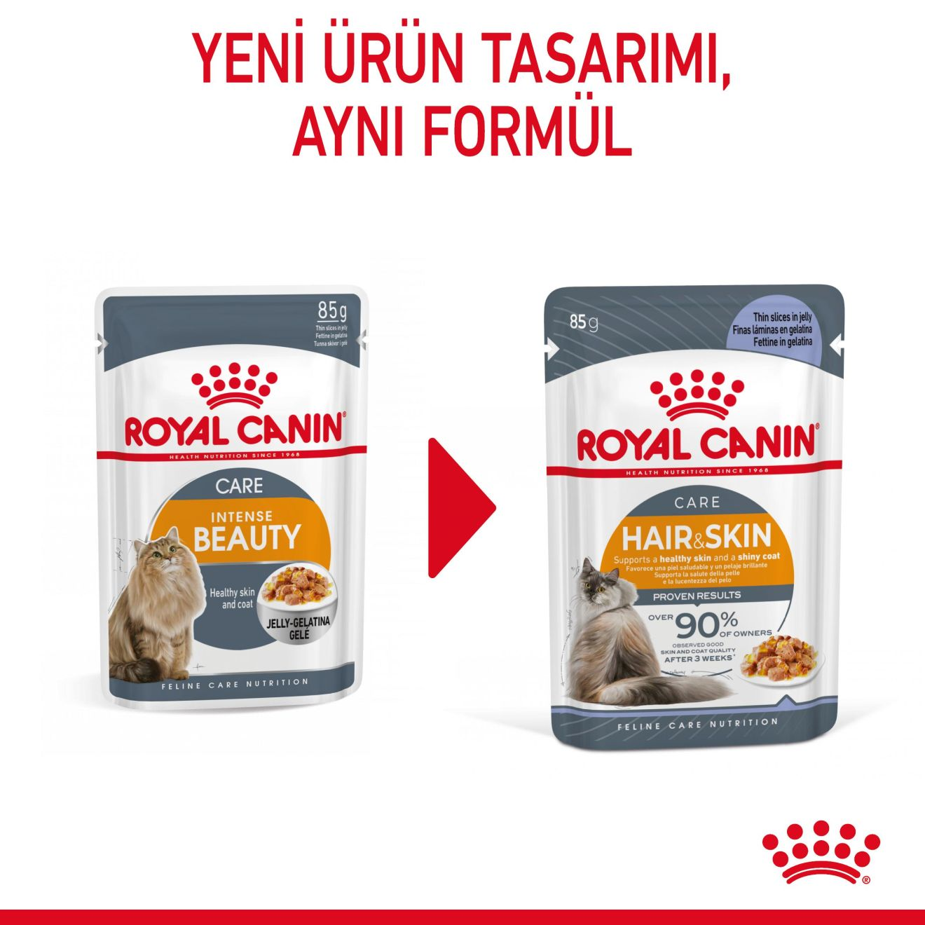 Hair & Skin Jelly Yetişkin Kedi Yaş Maması