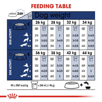 SHN-AdultMaxi-CV-EretailKit-4