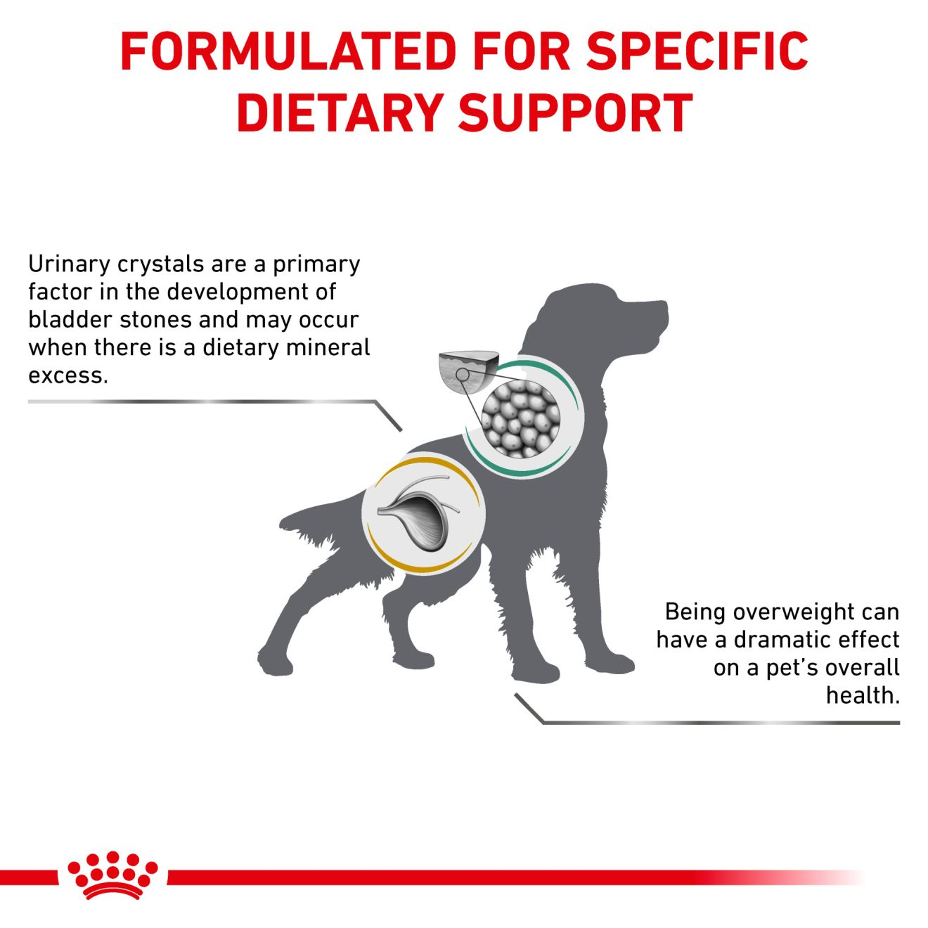 Multifunction Veterinary Care Royal Canin US