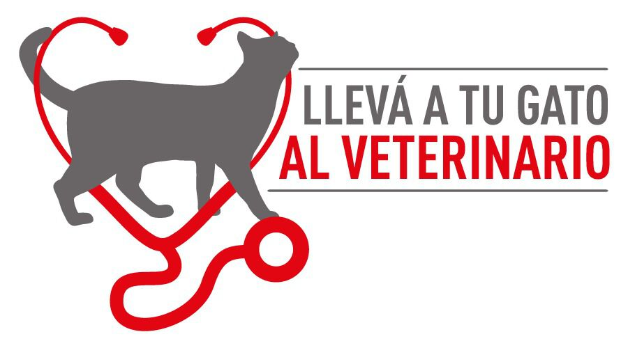 Campaña Llevá a tu gato al veterinario - Royal Canin