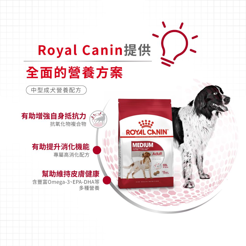 SHN 中型成犬營養配方