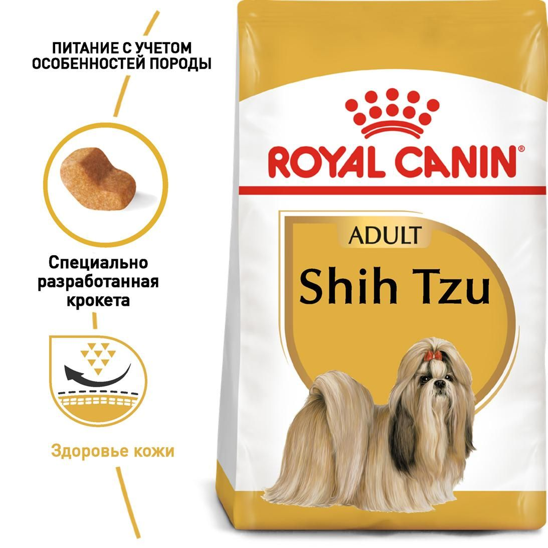Shih Tzu Adult