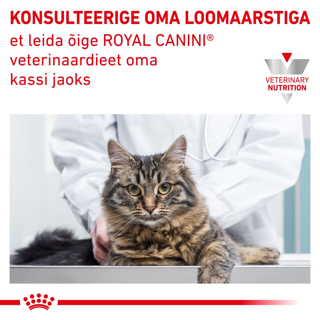 Royal Canin Urinary S/O Moderate Calorie Cat konserv (tükid kastmes)