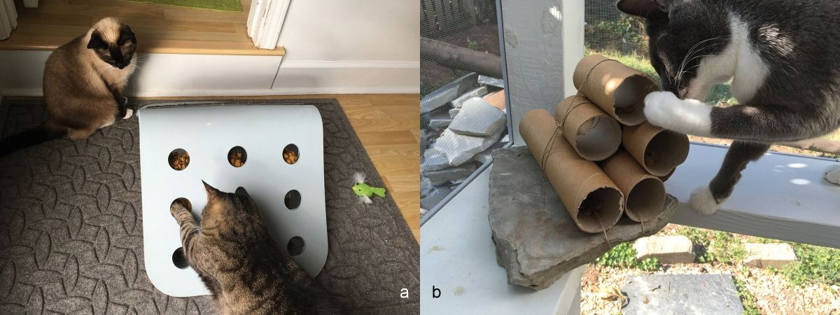 Home-made puzzles can be constructed with a bit of ingenuity and imagination. (a) A puzzle made from an old seat with multiple holes cut in it to allow a cat to forage for food and toys. A sisal mat is also secured to one side of the seat for use as a scratch post. (b) A very simple puzzle made from cardboard tubes, weighted with a stone to keep it stationary.