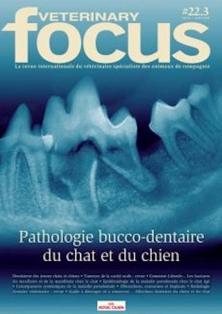 Pathologie bucco-dentaire du chat et du chien