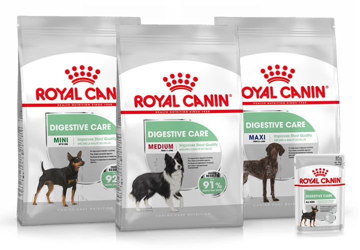 Canine care nutrition digestive care range pack shot