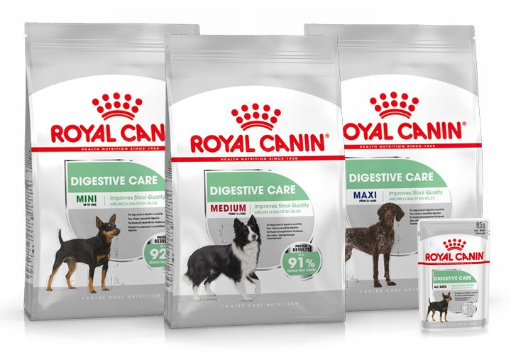 Pets at home royal canin digestive care best sale