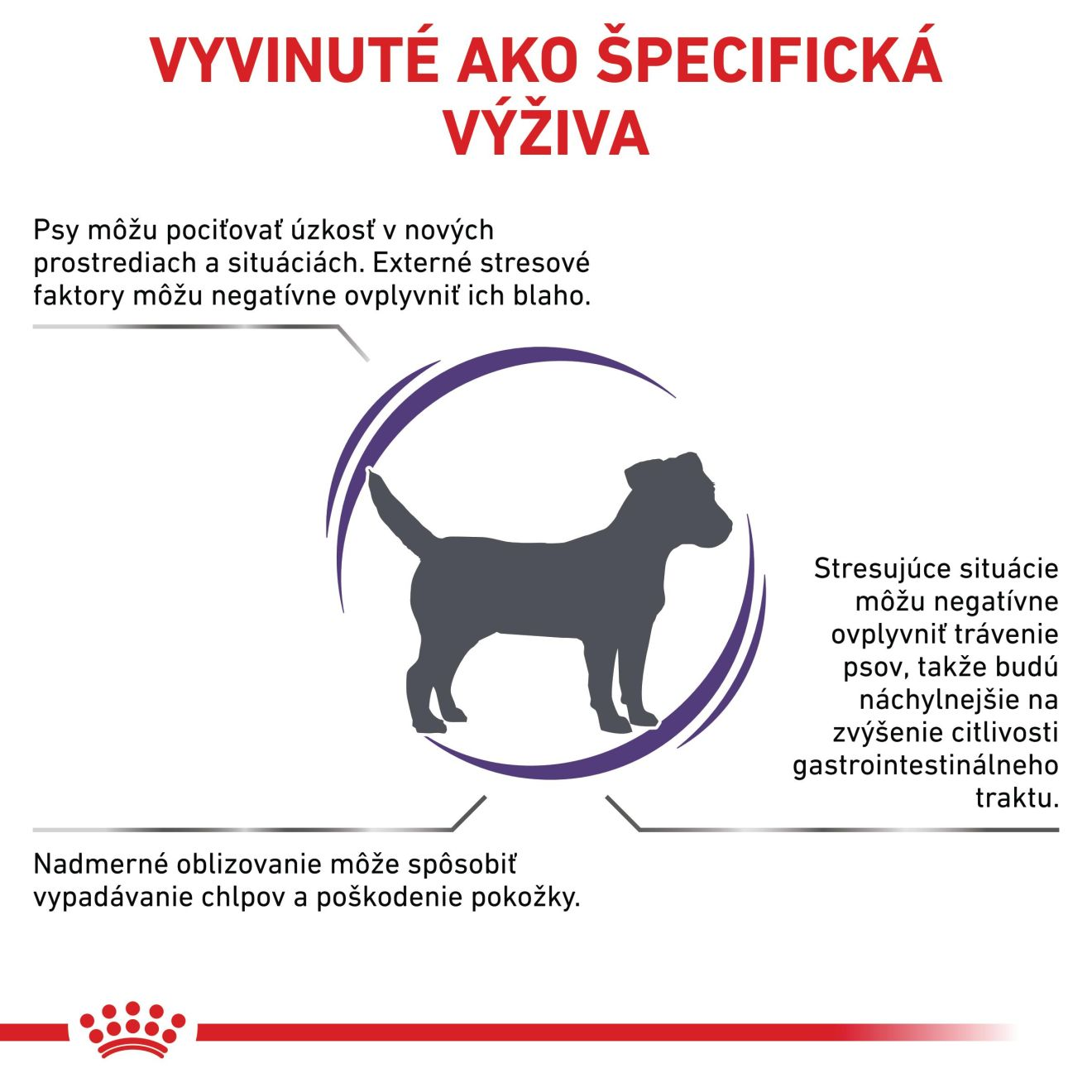 VHN Calm dog