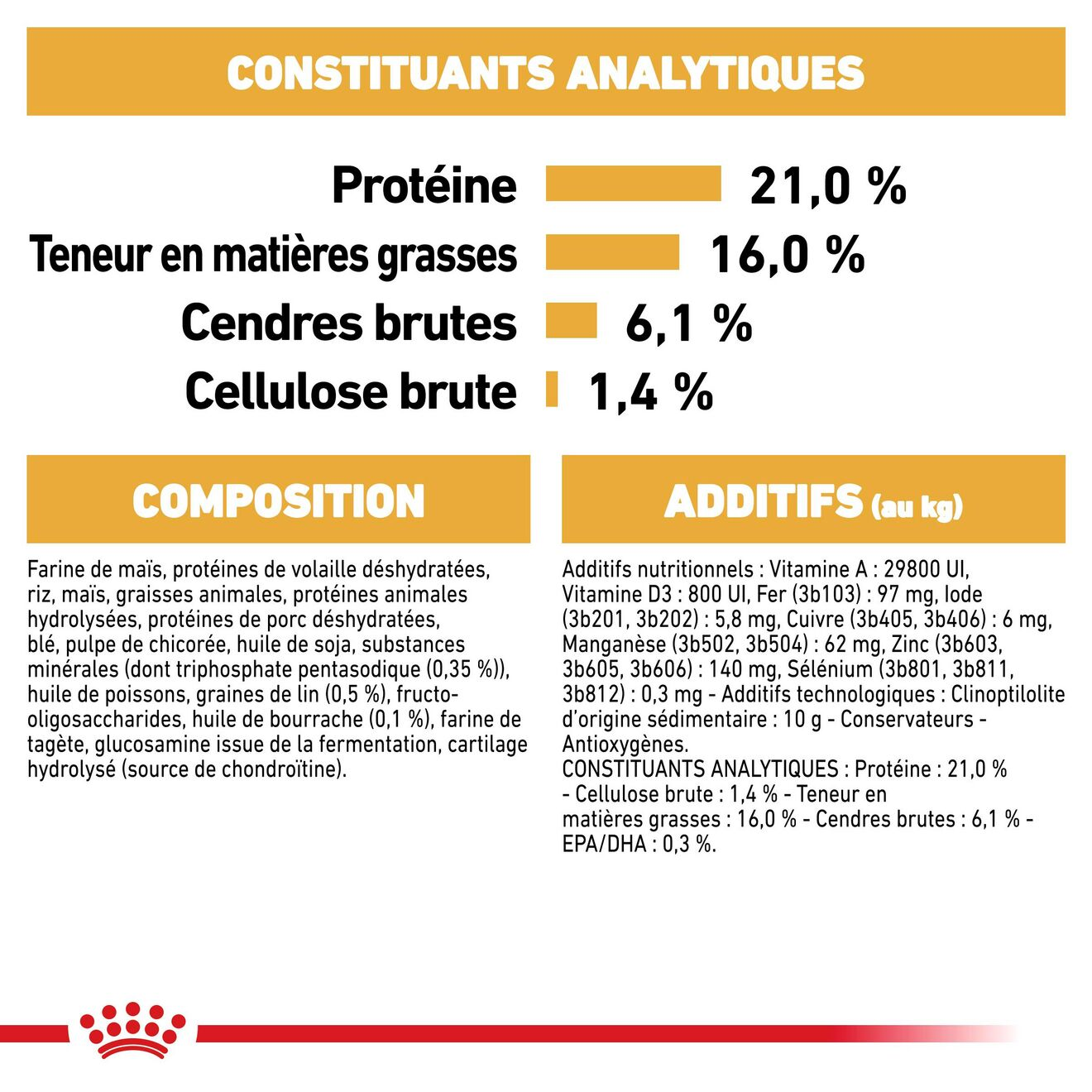 West Highland White Terrier Adult