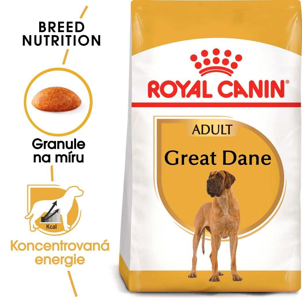 GREAT DANE Adult