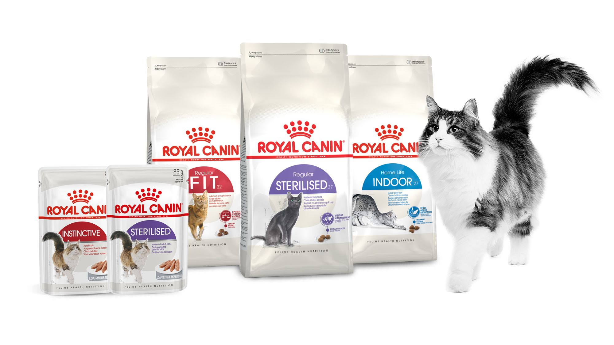 Cat retail range pack shot