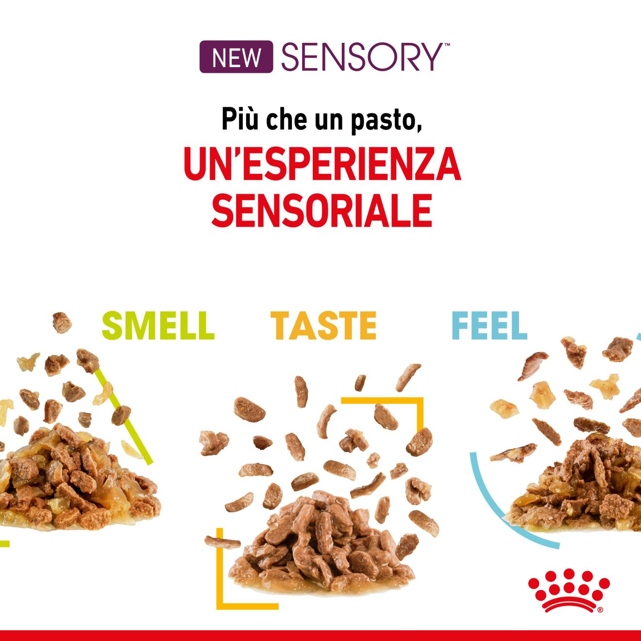 Sensory™ Feel Straccetti In Salsa Royal Canin It 5488