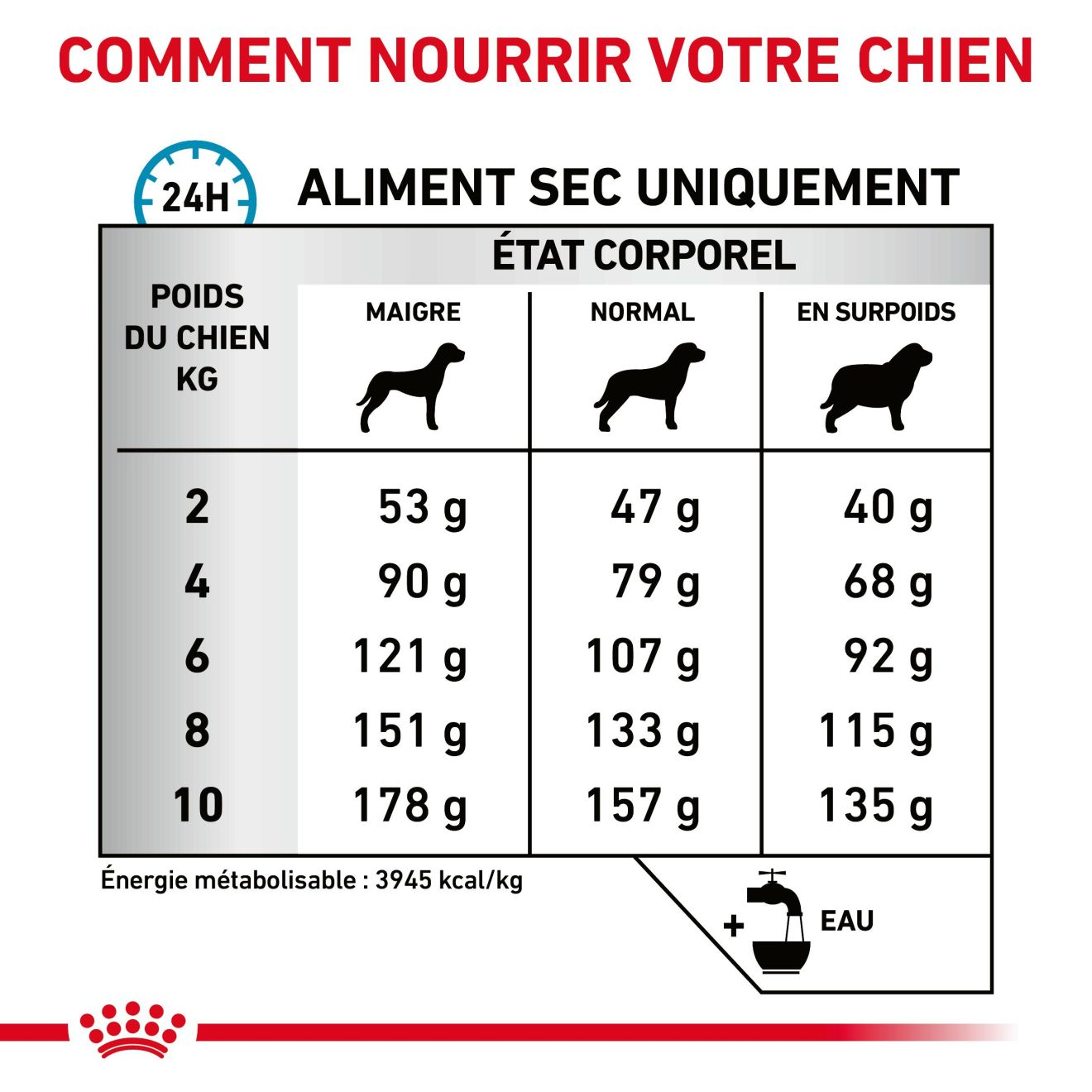 Skin Care Small Dog