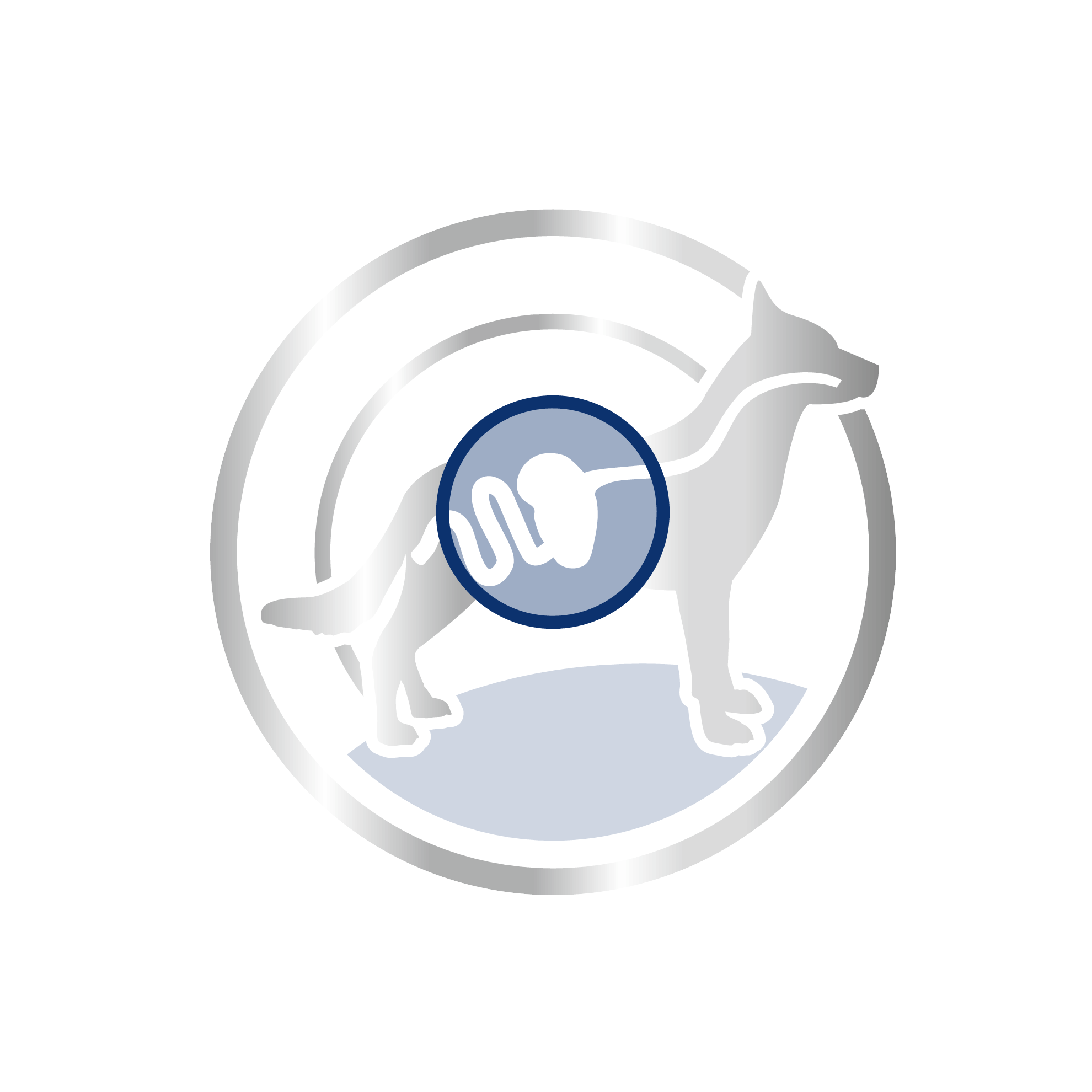 อาหารสุนัขโต พันธุ์ใหญ่ ชนิดเม็ด (MAXI ADULT)