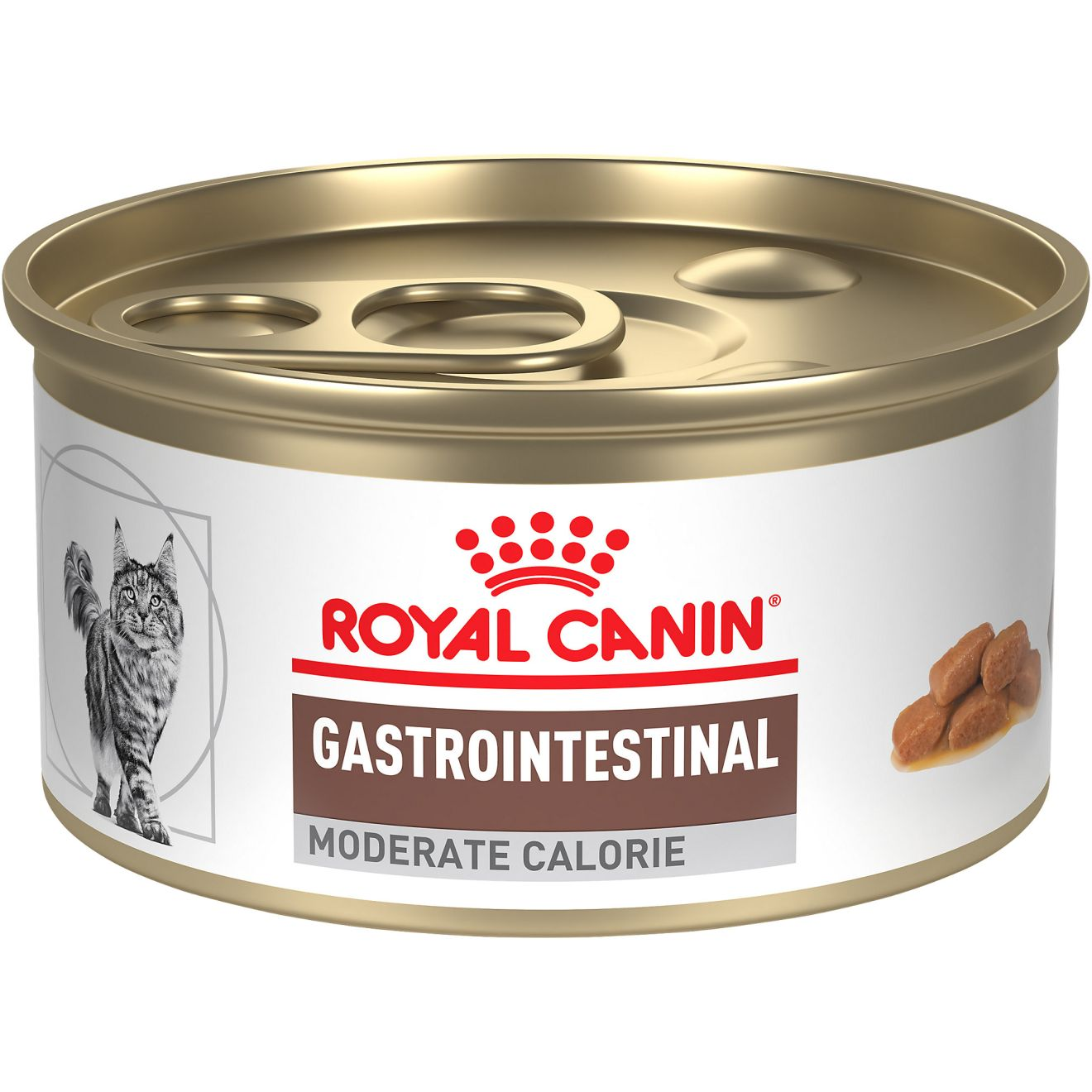 Gastrointestinal 2025 moderate calorie