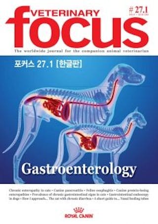 Gastroenterology