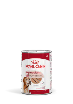Medium Ageing en mousse